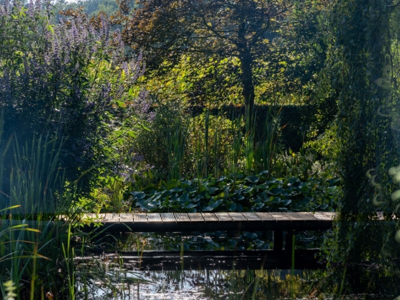 Onderhoud brug vijver